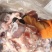 126前腿骨整根