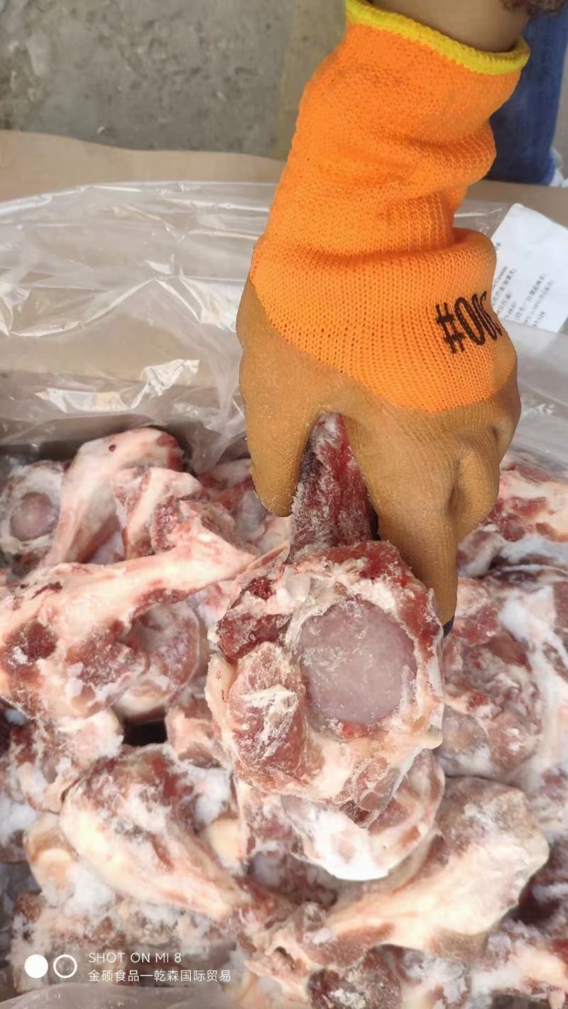 126前腿骨整根