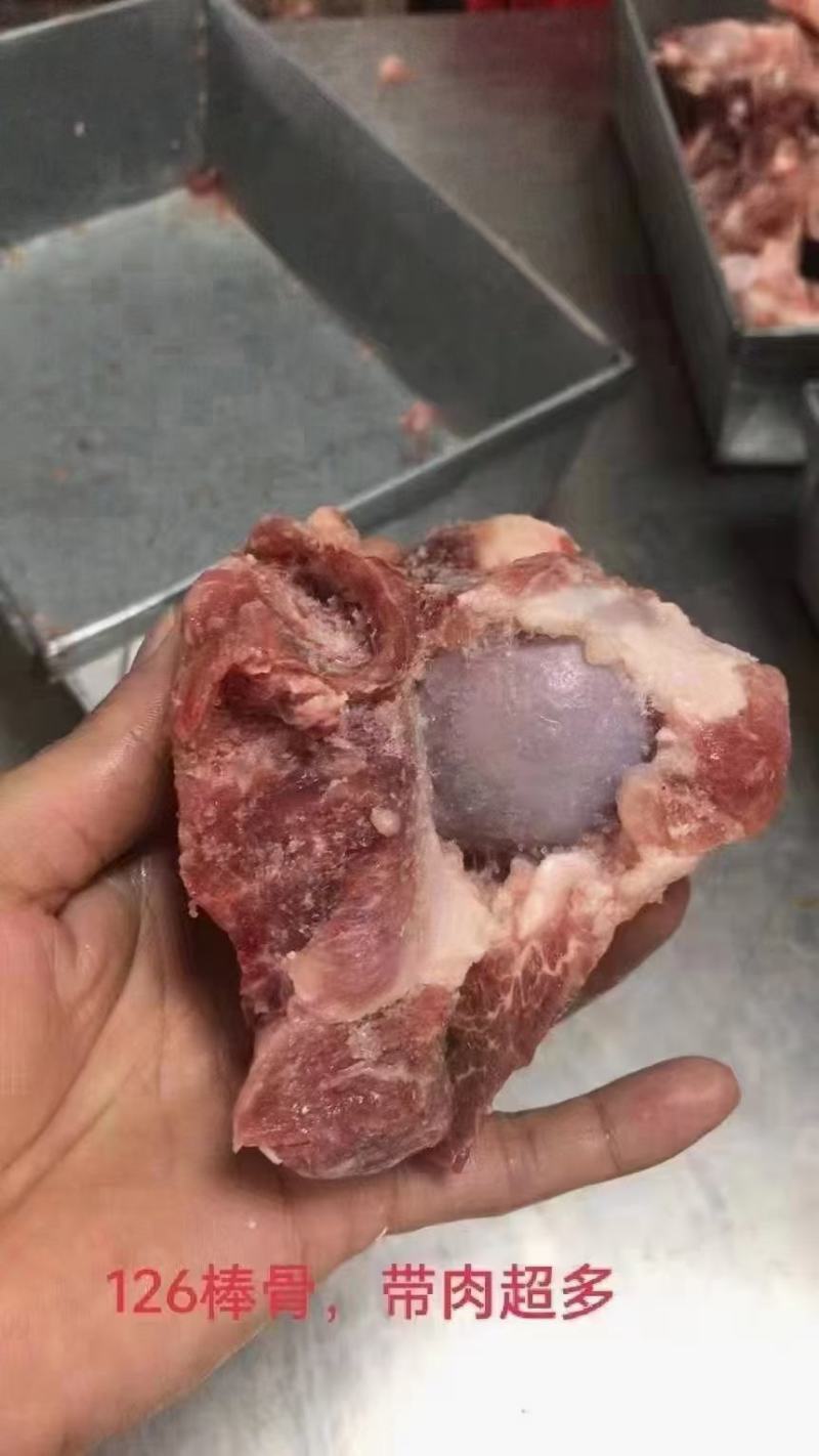 126前腿骨大头