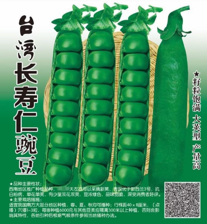 长寿仁豌豆种子