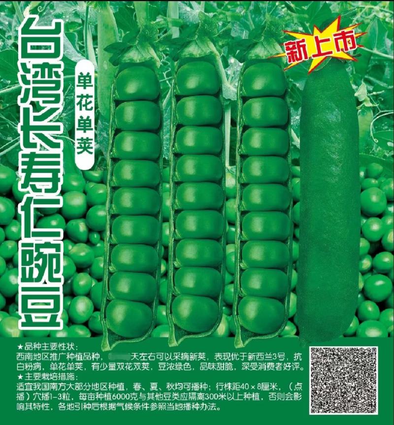长寿仁豌豆种子