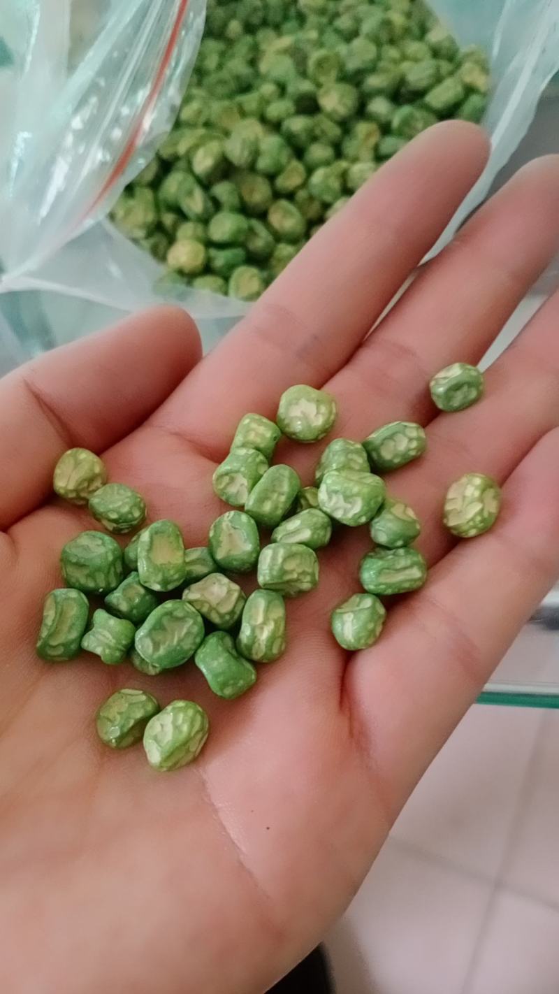 长寿仁豌豆种子