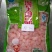 魔芋素食魔芋制品