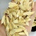 甘肃岷县黄芪片野生黄芪斜片产地工厂代发500g散装量