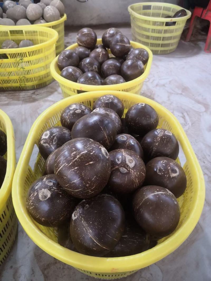 海南三亚奶椰王适合清补凉椰子鸡店煲汤椰子冻