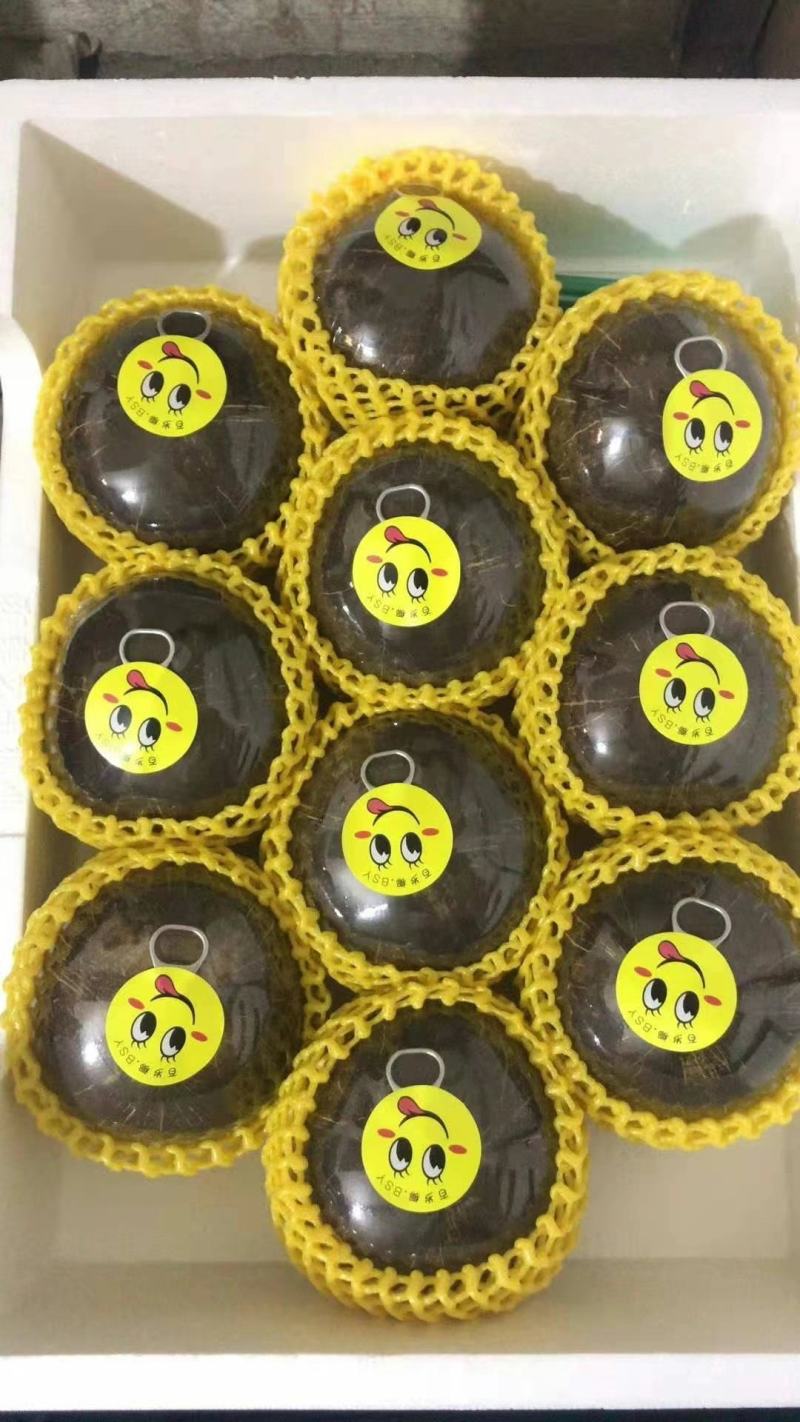 海南三亚奶椰王适合清补凉椰子鸡店煲汤椰子冻
