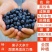 带花带果组培蓝莓树苗盆栽地栽南北方四季种植庭院阳台保湿发