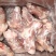 带腱前腿骨