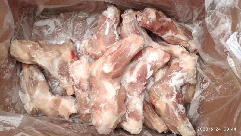 带腱前腿骨