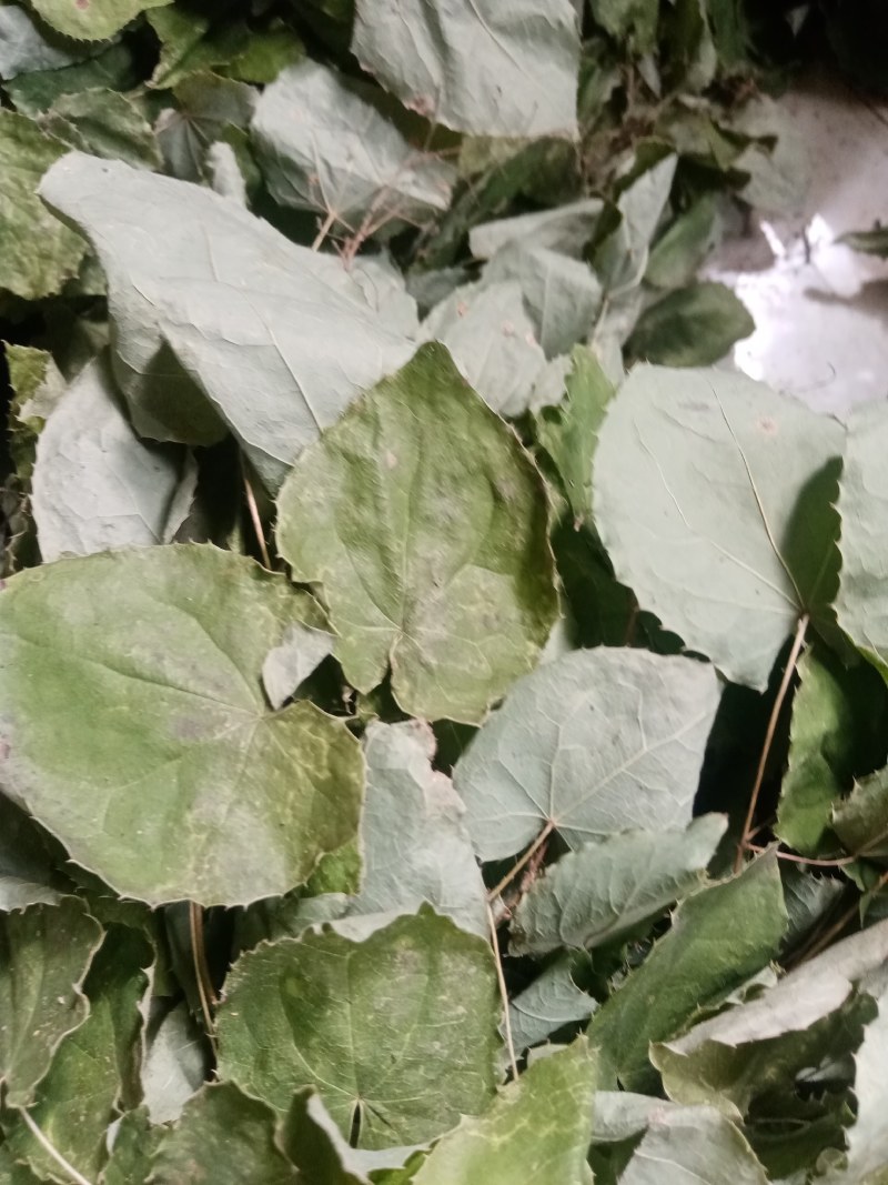 甘肃小圆叶淫羊藿无根非人工种植一手货源产地直发