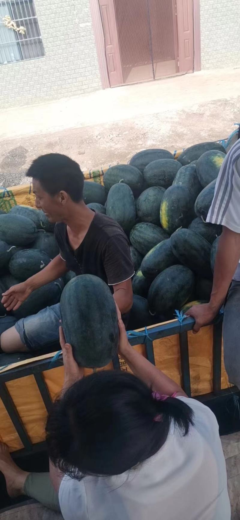 湖北宜城西瓜黑皮无籽西瓜货量充足口感脆甜实力代办
