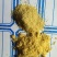 高蛋宝，脂肪50富含丰富的脑磷脂和卵磷脂，延长蛋鸡高峰期