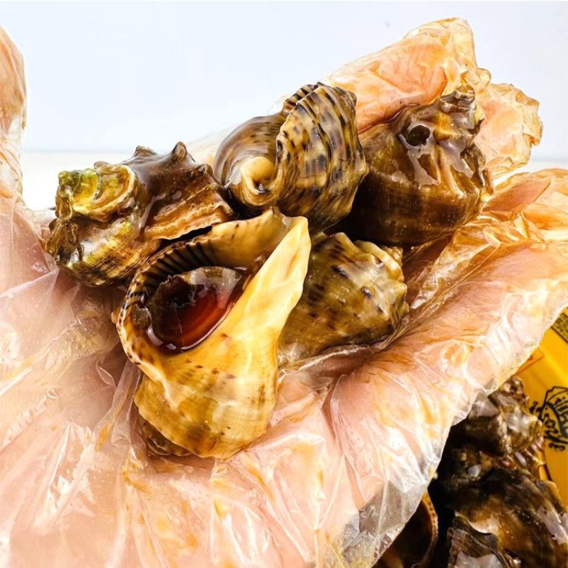 泽飞~麻辣小海螺批发，一袋起发三袋包邮全国发货送货上门