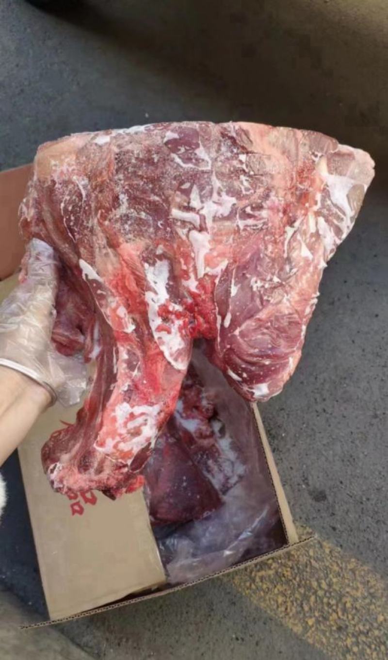 母猪二级带颈前排（个别有少许淤血）