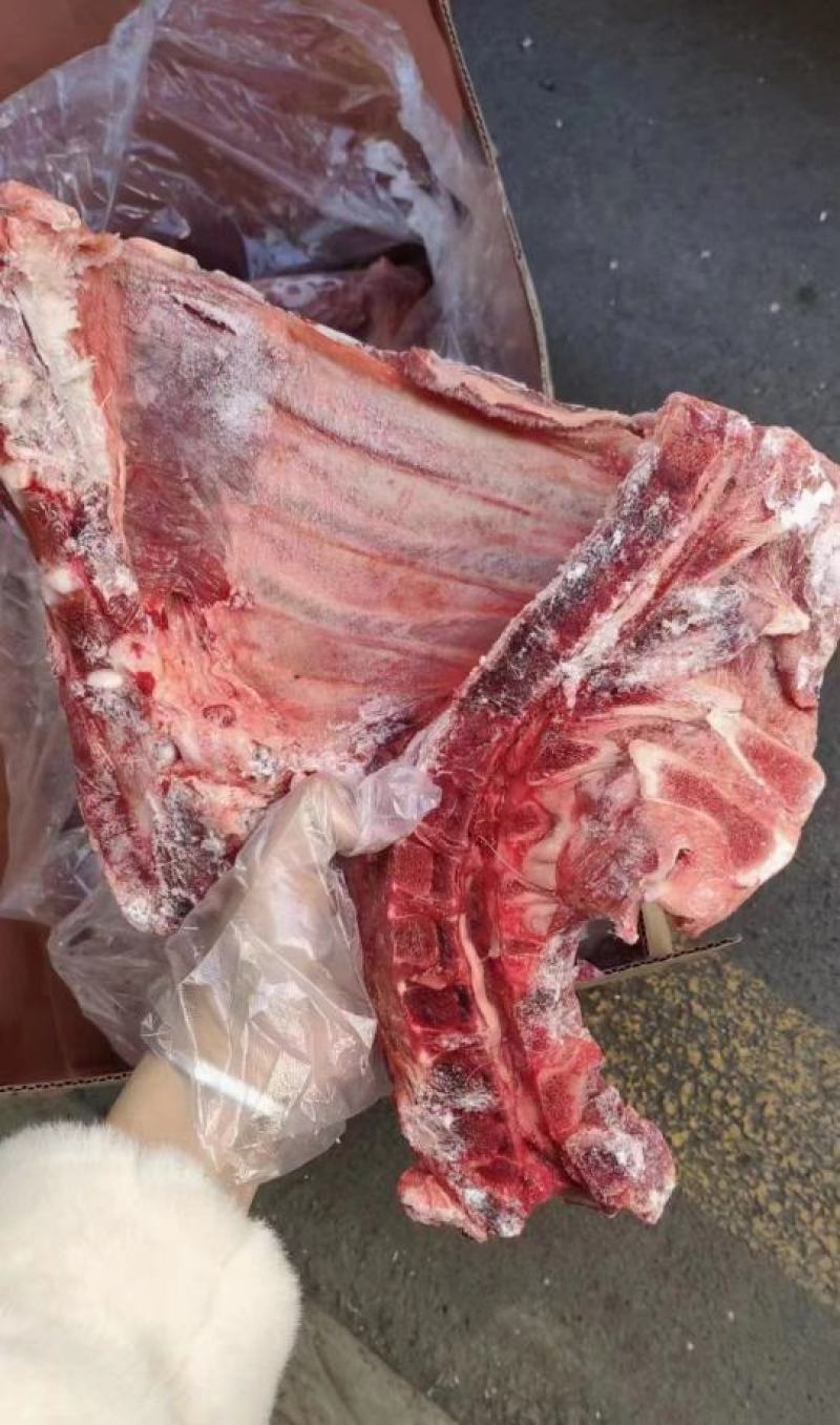 母猪二级带颈前排（个别有少许淤血）
