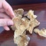 羊肚耳劲道爽口色泽鲜明价格实惠