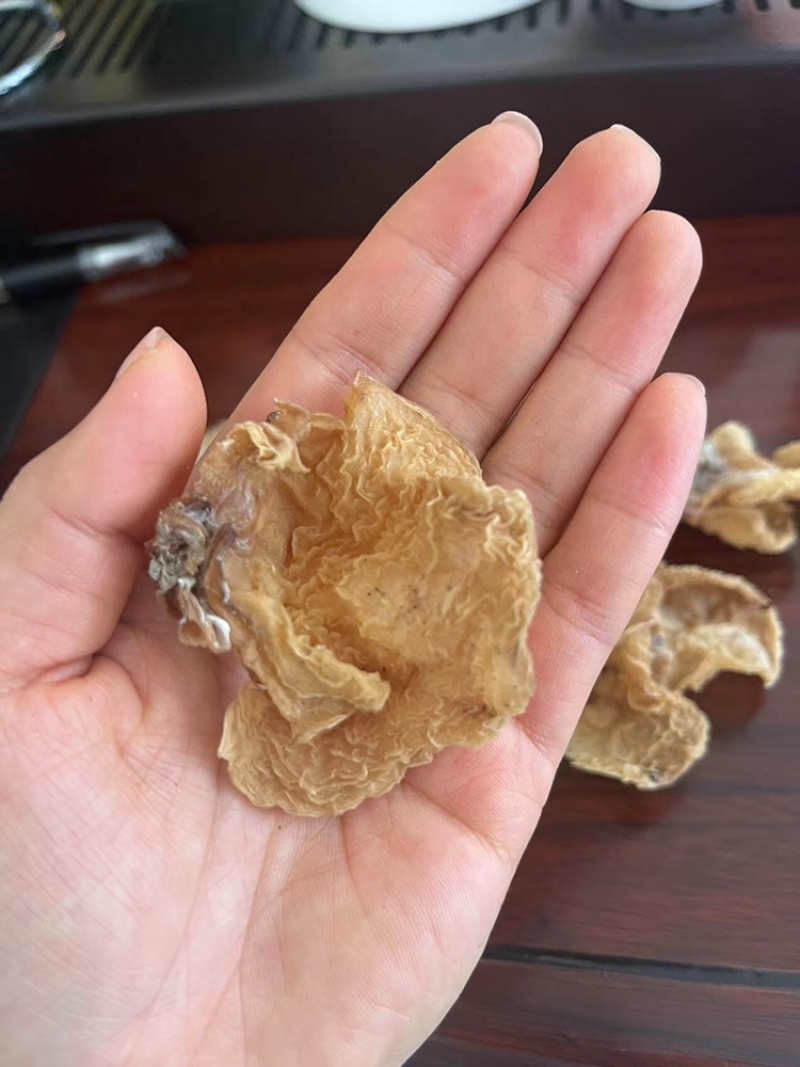 羊肚耳劲道爽口色泽鲜明价格实惠
