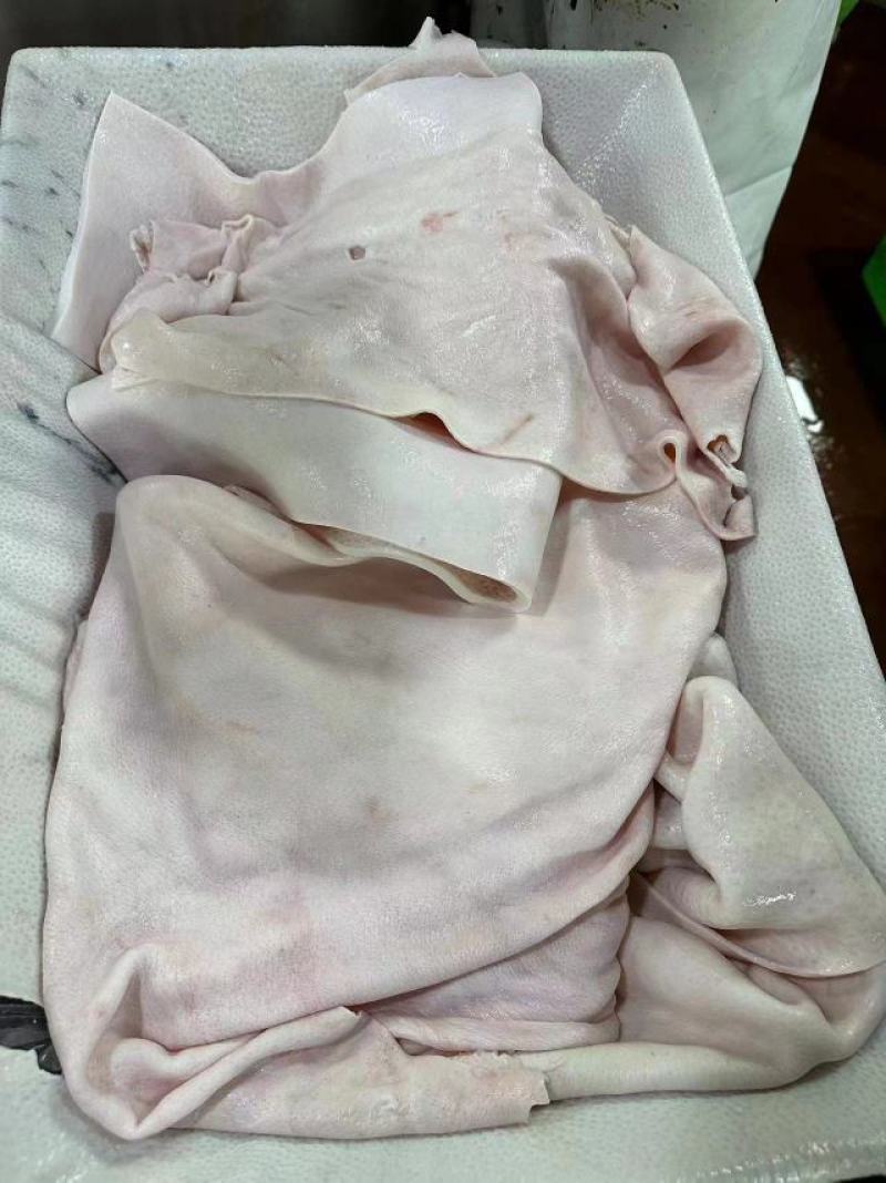 精品猪皮价格实惠
