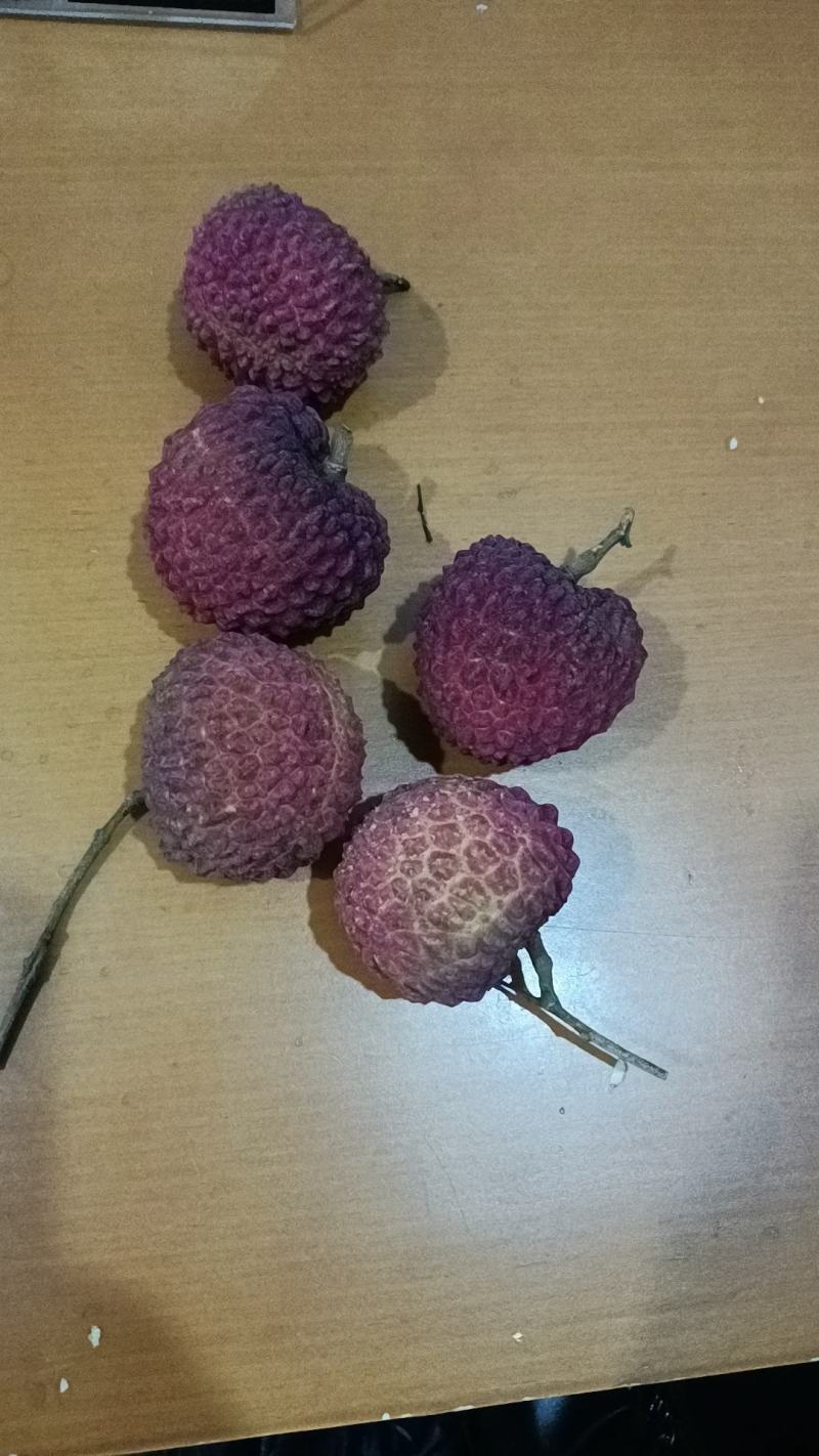 妃子笑、桂味、先进奉荔枝