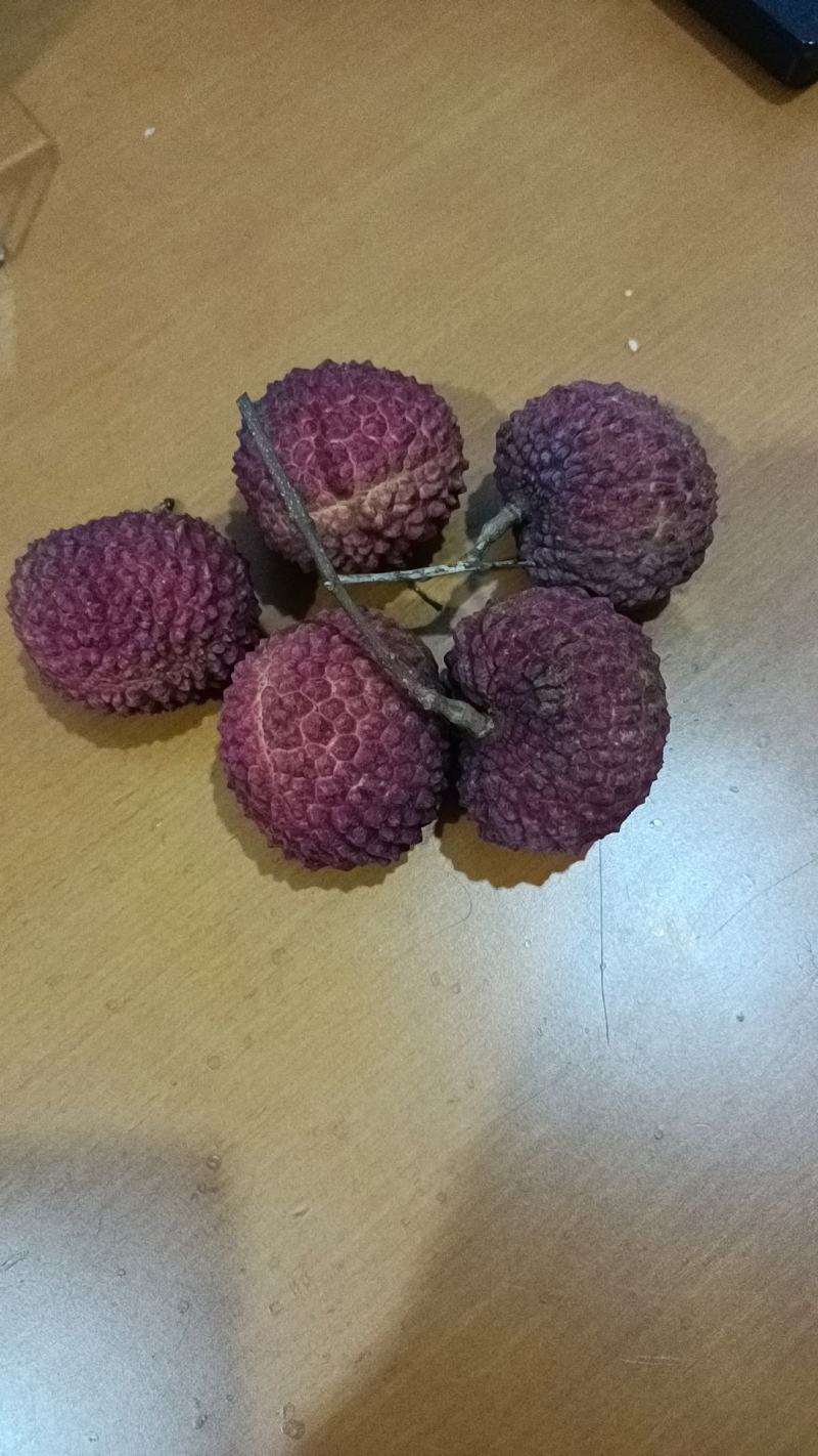 妃子笑、桂味、先进奉荔枝