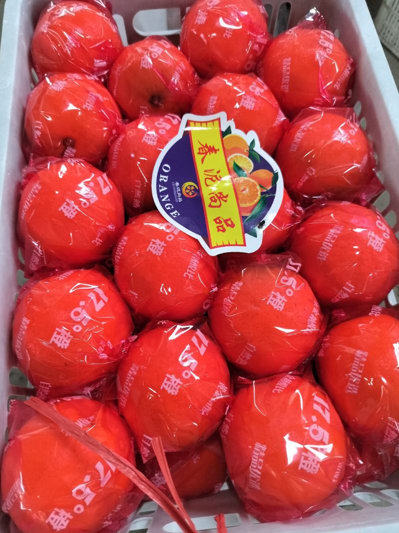 秭归长虹纽荷尔园红脐橙产地一手货源看园采果质量三包