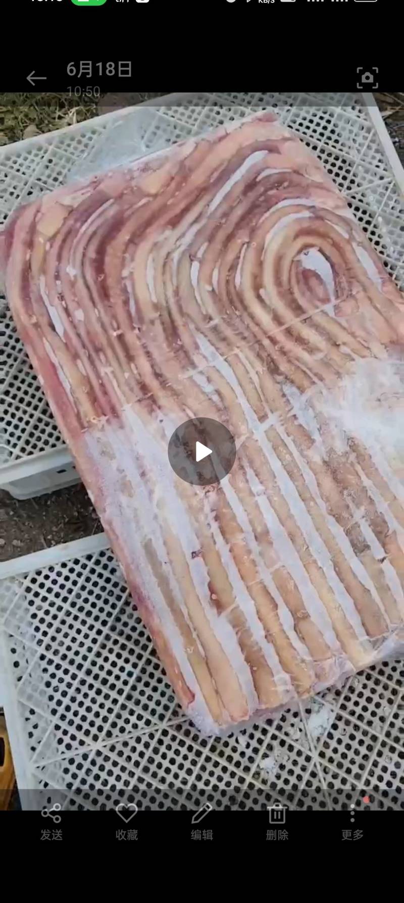 纯牛鞭，干货，精修少油无鞕根