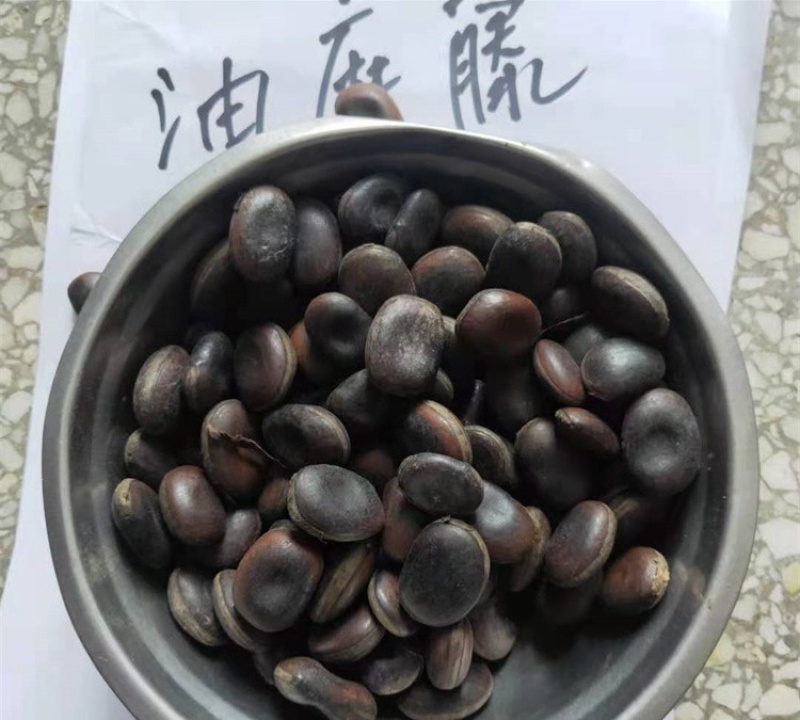 中药材批发油麻藤子批发价格产地直销