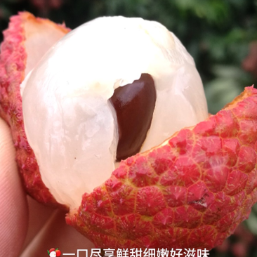 卖荔枝