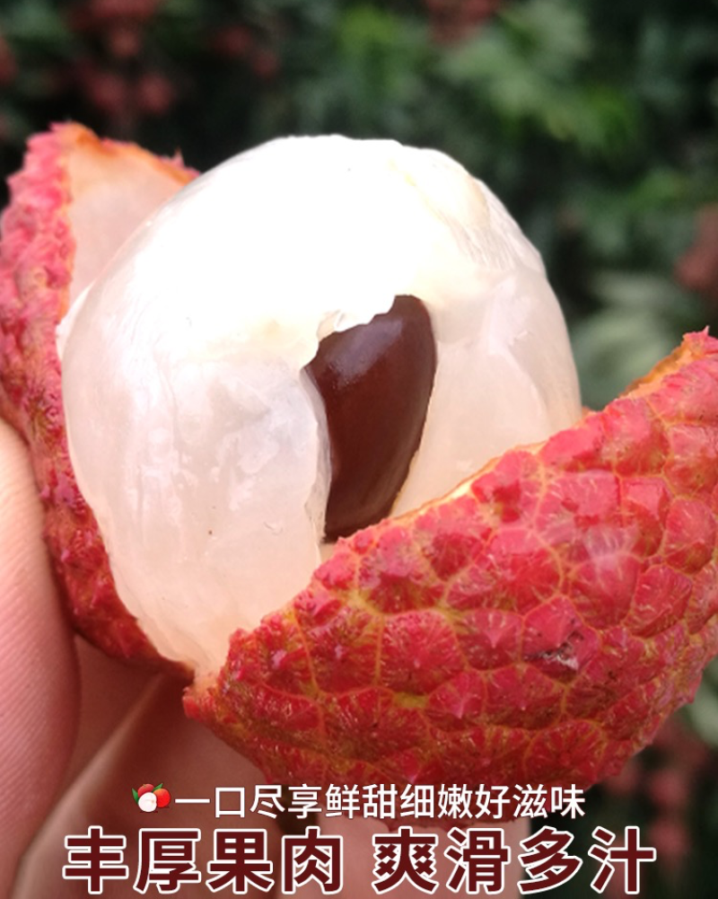 卖荔枝