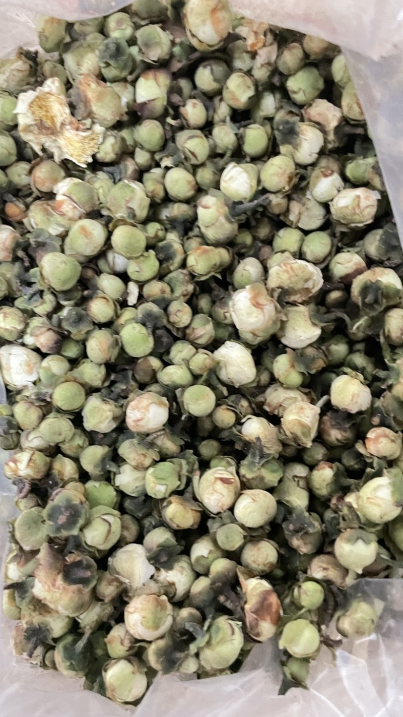 中药材批发山茶花产地直售批发价格店铺有千种药材