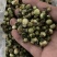 中药材批发山茶花产地直售批发价格店铺有千种药材