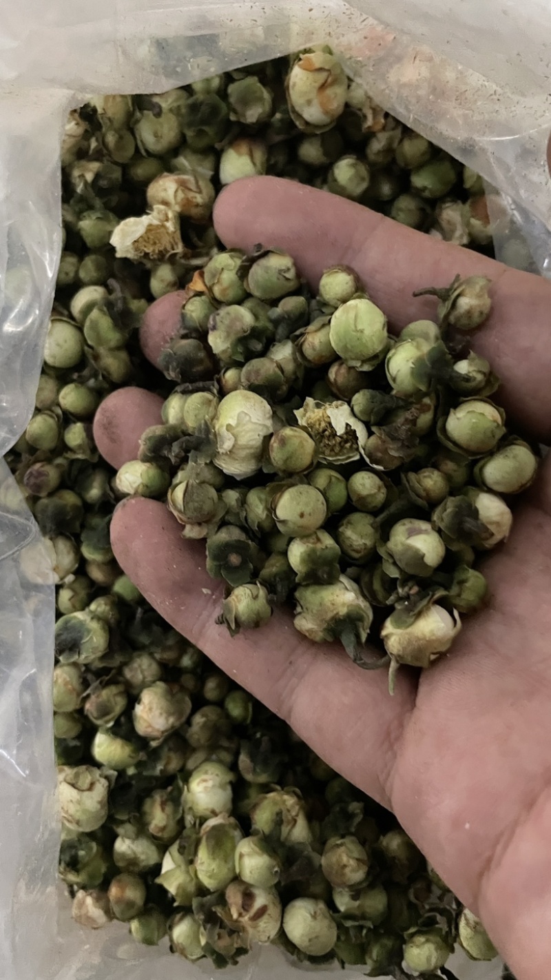 中药材批发山茶花产地直售批发价格店铺有千种药材