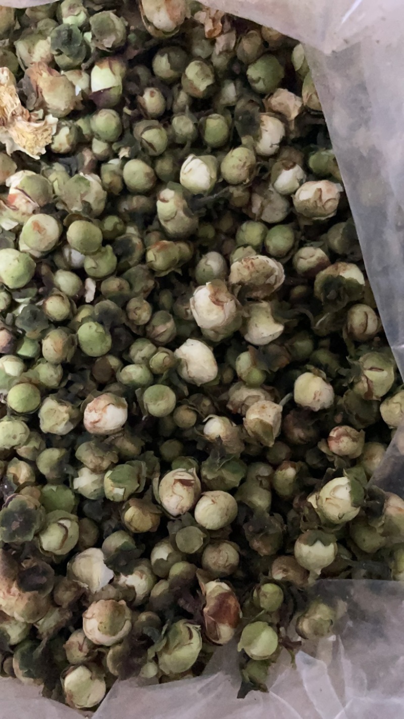 中药材批发山茶花产地直售批发价格店铺有千种药材