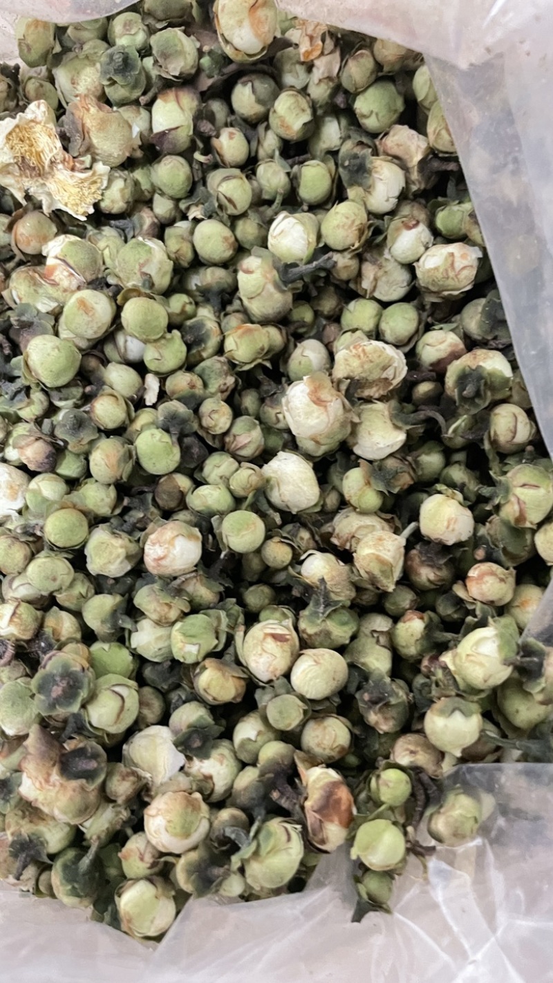中药材批发山茶花产地直售批发价格店铺有千种药材