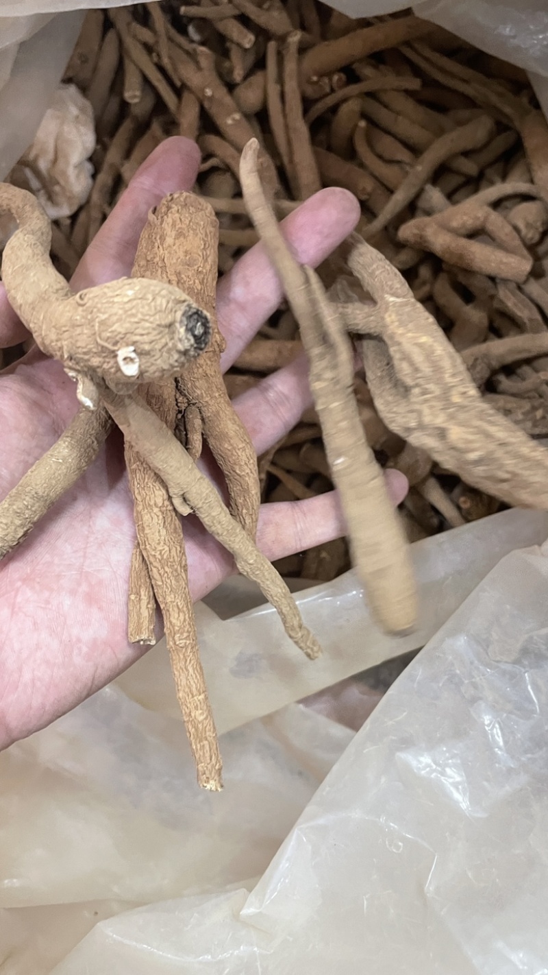 中药材批发血参产地直售批发价格店铺有千种药材