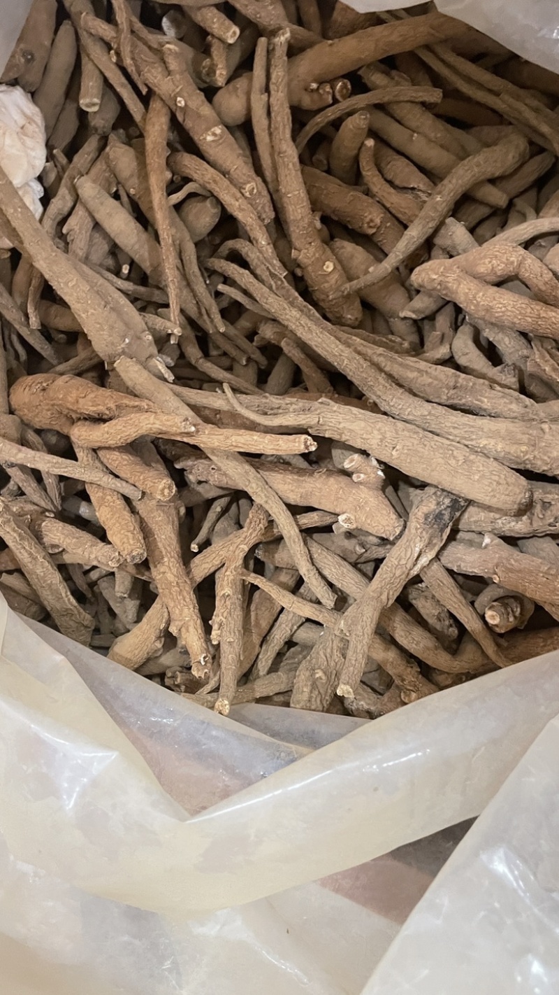 中药材批发血参产地直售批发价格店铺有千种药材