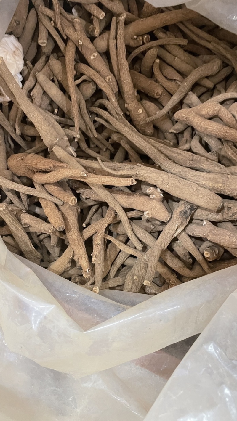 中药材批发血参产地直售批发价格店铺有千种药材