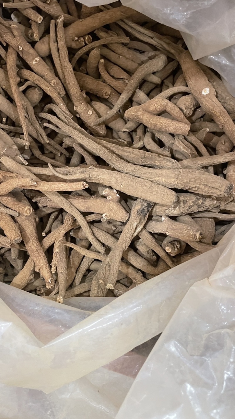 中药材批发血参产地直售批发价格店铺有千种药材