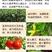 控旺168-瓜果蔬菜专用控旺促壮矮化植株花芽分化增产增收