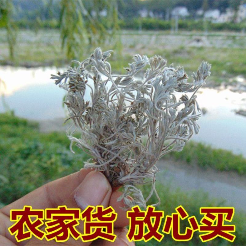 【野生茵陈】无硫茵陈三月茵陈多规格可选包邮