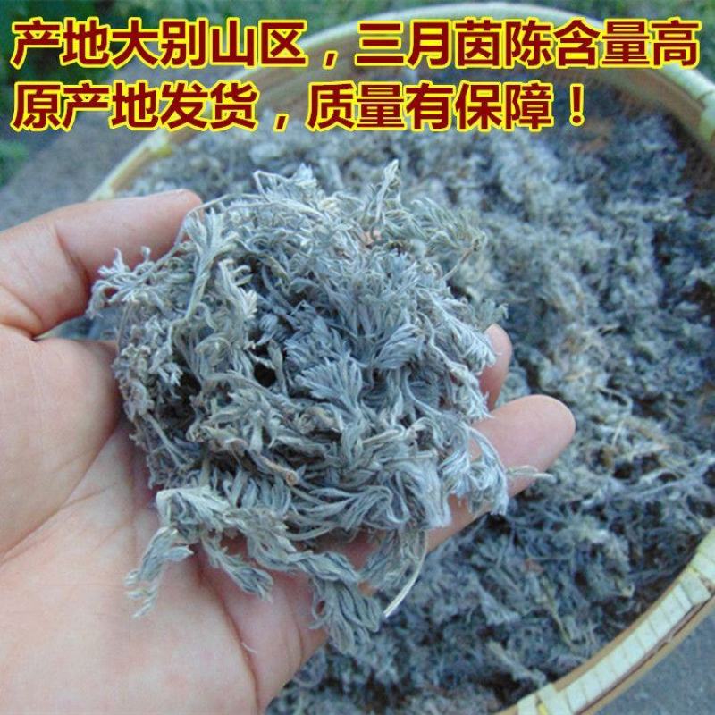 【野生茵陈】无硫茵陈三月茵陈多规格可选包邮