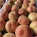 水蜜毛桃产地直销，供应，超市，各大市场
