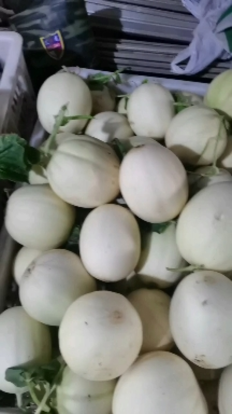 东方蜜1号甜瓜，口感脆