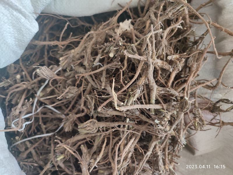 北柴胡中药材切货药厂货产地直发山西货源地