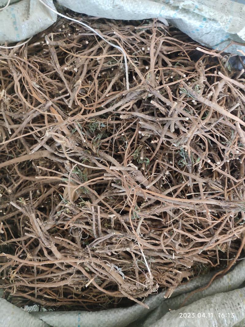 北柴胡中药材切货药厂货产地直发山西货源地
