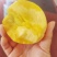 陕西黄金蜜，黄桃产地，口感甜，硬欢迎采购，需要的老板滴