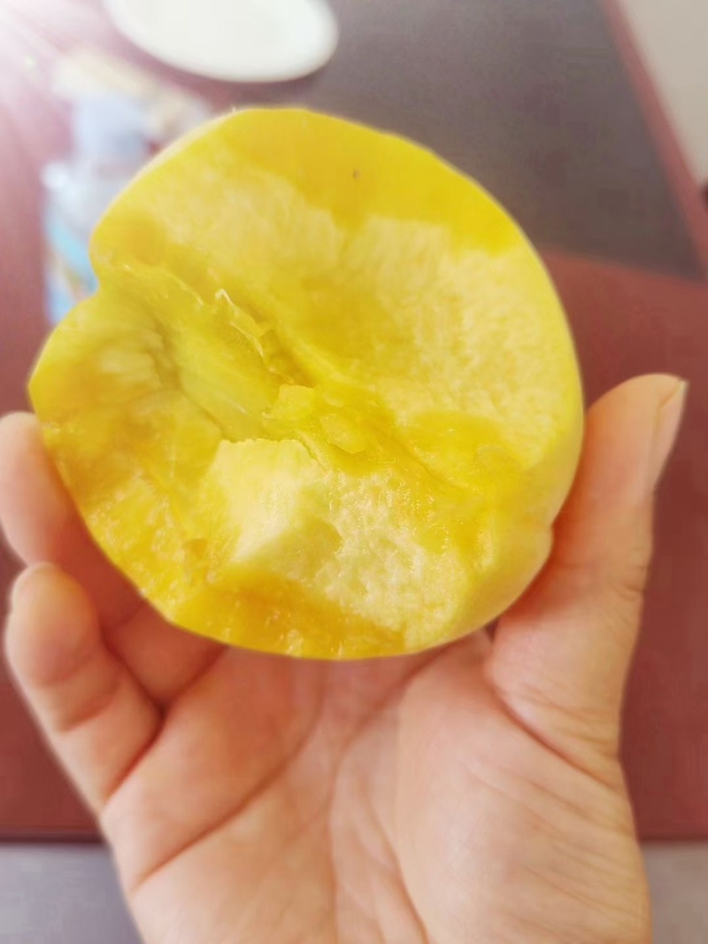 陕西黄金蜜，黄桃产地，口感甜，硬欢迎采购，需要的老板滴