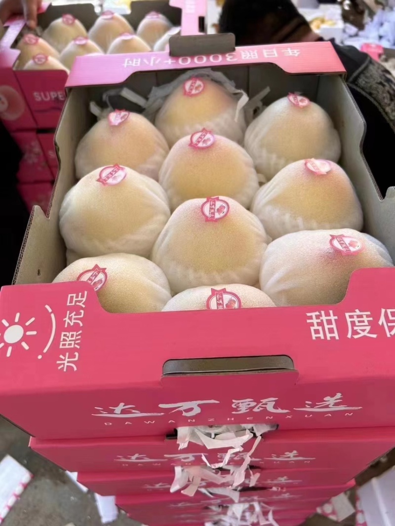 陕西黄金蜜，黄桃产地，口感甜，硬欢迎采购，需要的老板滴