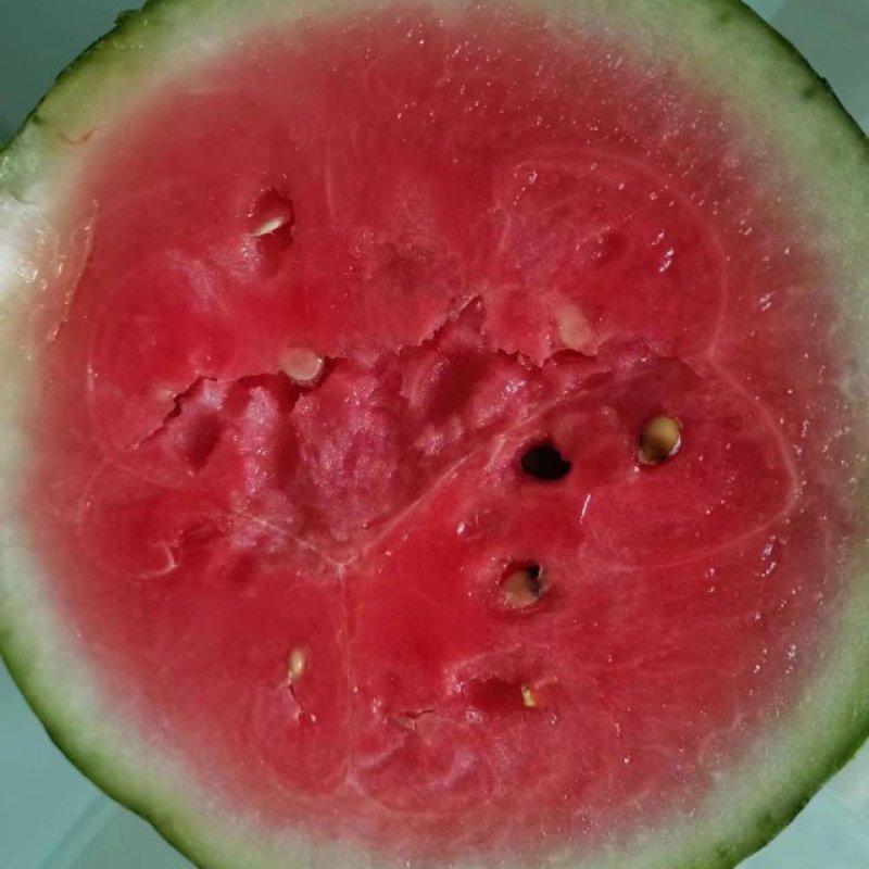 隆尧县甜王西瓜