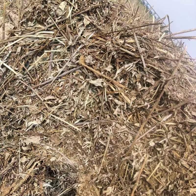 艾绒艾条艾草制品批发